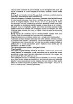 Konspekts 'Zemes vēsture. Paleozojs', 10.