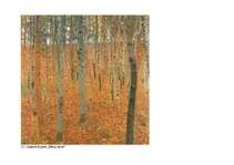 Referāts 'ASV zinātnieku teorijas pielietojums praksē', 4.