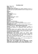 Konspekts 'Zīriņi', 10.