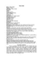 Konspekts 'Zīriņi', 13.