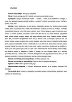 Prakses atskaite 'Prakses dienasgrāmata', 2.