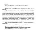 Prakses atskaite 'Prakses dienasgrāmata', 4.