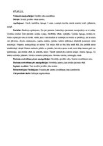 Prakses atskaite 'Prakses dienasgrāmata', 5.