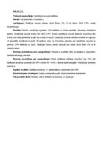 Prakses atskaite 'Prakses dienasgrāmata', 6.