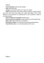 Prakses atskaite 'Prakses dienasgrāmata', 9.