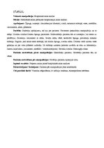 Prakses atskaite 'Prakses dienasgrāmata', 12.