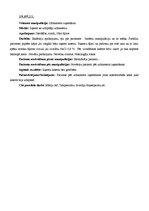 Prakses atskaite 'Prakses dienasgrāmata', 14.