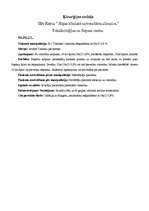 Prakses atskaite 'Prakses dienasgrāmata', 16.