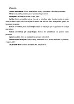 Prakses atskaite 'Prakses dienasgrāmata', 17.