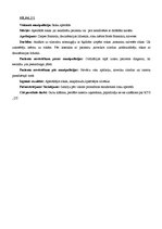 Prakses atskaite 'Prakses dienasgrāmata', 18.