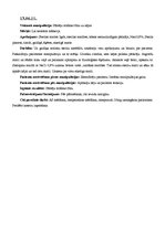 Prakses atskaite 'Prakses dienasgrāmata', 21.