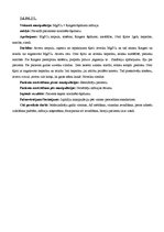 Prakses atskaite 'Prakses dienasgrāmata', 22.