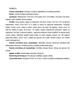 Prakses atskaite 'Prakses dienasgrāmata', 24.