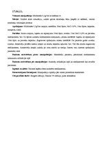 Prakses atskaite 'Prakses dienasgrāmata', 25.