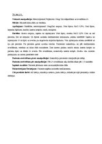 Prakses atskaite 'Prakses dienasgrāmata', 27.