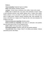 Prakses atskaite 'Prakses dienasgrāmata', 28.