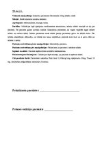 Prakses atskaite 'Prakses dienasgrāmata', 29.