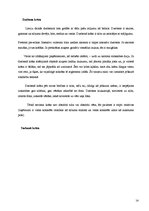 Referāts 'Pamatskolas skolēnu krāsu uztveres īpatnības', 14.
