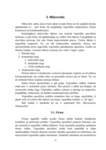 Referāts 'SIA "Būvmeistars Tirdzniecība" betona un dzelzsbetona ražotnes konkurētspēja Kur', 12.