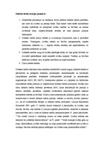 Referāts 'Dabisko tiesību teorijas', 4.