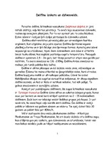 Referāts 'Delfīnu dzimta', 5.