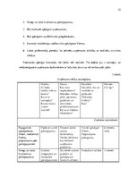 Referāts 'Integrētās kvalitātes vadības sistēmas raksturojums uzņēmumā SIA "Zeize"', 22.