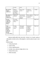 Referāts 'Integrētās kvalitātes vadības sistēmas raksturojums uzņēmumā SIA "Zeize"', 23.