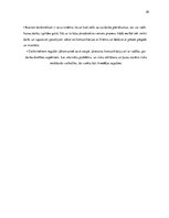 Referāts 'Integrētās kvalitātes vadības sistēmas raksturojums uzņēmumā SIA "Zeize"', 28.