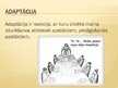 Prezentācija 'Adaptācija jaunā darbavietā', 2.