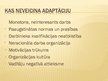 Prezentācija 'Adaptācija jaunā darbavietā', 4.