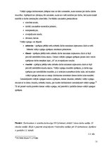 Diplomdarbs 'Darba samaksas raksturojums un tās uzskaite pašvaldības budžeta iestādē', 31.