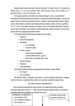 Diplomdarbs 'Darba samaksas raksturojums un tās uzskaite pašvaldības budžeta iestādē', 40.