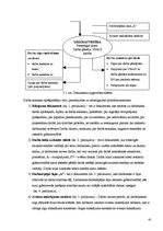 Diplomdarbs 'Darba samaksas raksturojums un tās uzskaite pašvaldības budžeta iestādē', 41.