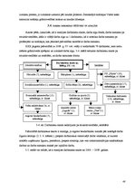 Diplomdarbs 'Darba samaksas raksturojums un tās uzskaite pašvaldības budžeta iestādē', 48.