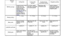 Konspekts 'Gaismas avoti un to raksturojums', 1.