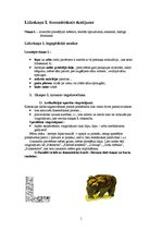 Konspekts 'Līdzskaņa "L" fonemātiskais skatījums', 1.