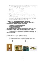 Konspekts 'Līdzskaņa "L" fonemātiskais skatījums', 7.