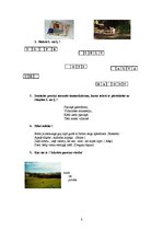 Konspekts 'Līdzskaņa "L" fonemātiskais skatījums', 8.