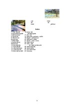 Konspekts 'Līdzskaņa "L" fonemātiskais skatījums', 9.