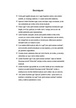 Referāts 'L.Stumbres lugas "Liels, spoži sarkans autobuss" fragmenta analīze', 11.