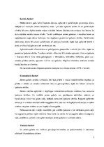 Paraugs 'Nekustāmā īpašuma tirgus un kadastrālās vērtības aprēķināšana', 2.