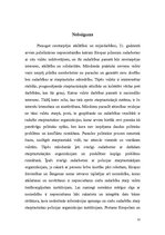 Referāts 'Starptautiskas policijas organizācijas', 12.