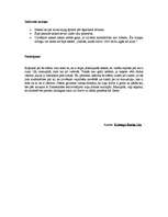 Konspekts 'Voltērs "Mikromegs"', 2.