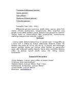 Referāts 'Latvijas proklamēšana, 18.novembris', 12.