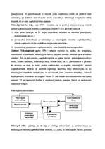 Konspekts 'Inovatīvās darbības infrastruktūras veidošana un funkcionēšana', 4.