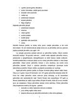 Referāts 'Pašvaldību organizēšana, pašvaldību un administratīvi teritoriālā reforma', 7.