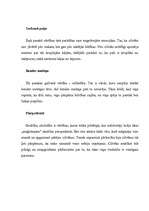 Eseja 'Galvenās vērtības septiņās K.Skalbes pasakās', 2.