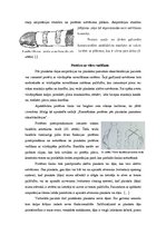 Referāts 'Pirkstu un plaukstas daļas protezēšana', 10.