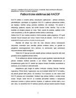 Referāts 'ISO standarti', 5.