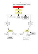 Konspekts 'Jauniešu interešu centrs "Colere"', 5.